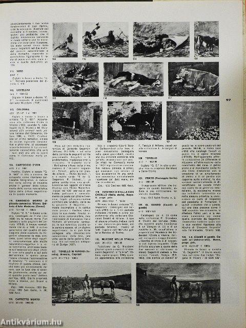 L'opera completa di Segantini