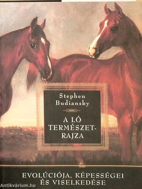 A ló természetrajza