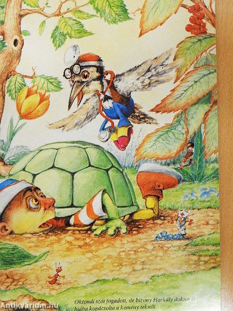 A teknősbéka bánata