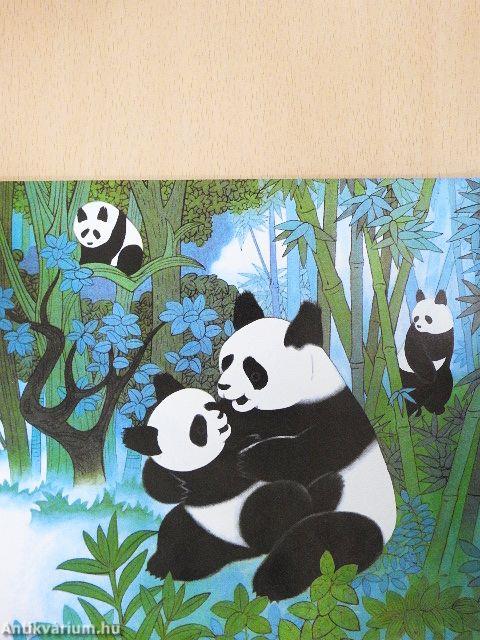 Panda mackó vendégségben