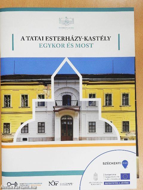 A Tatai Esterházy-kastély egykor és most