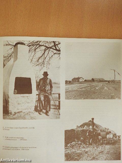 Írások Pusztaszerről