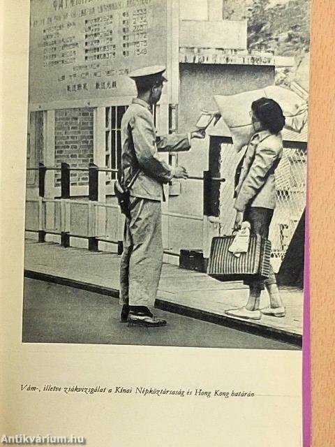 Japán a Kakas évében