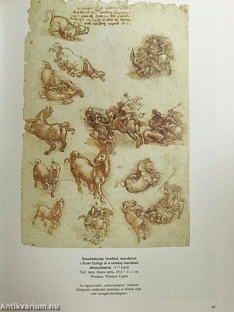 Leonardo da Vinci 