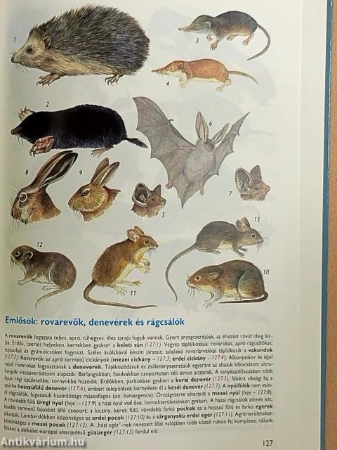 Állatismeret