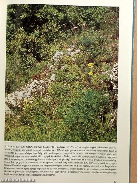 Állatismeret