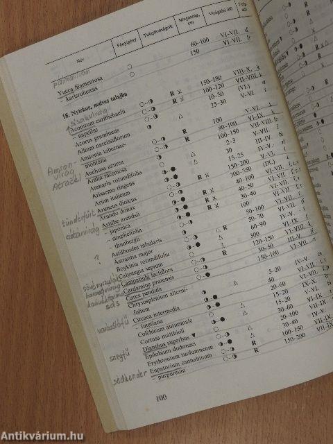 Hová, mit ültessünk?