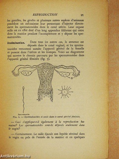 L'éducation du Couple