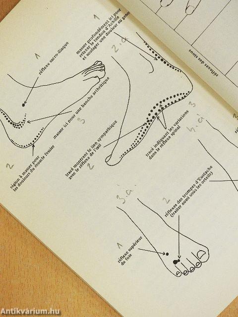 Reflexologie