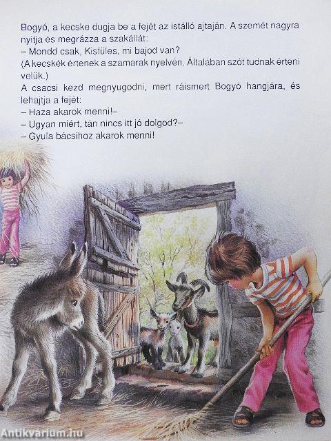 Marika és Kisfüles, a csacsi