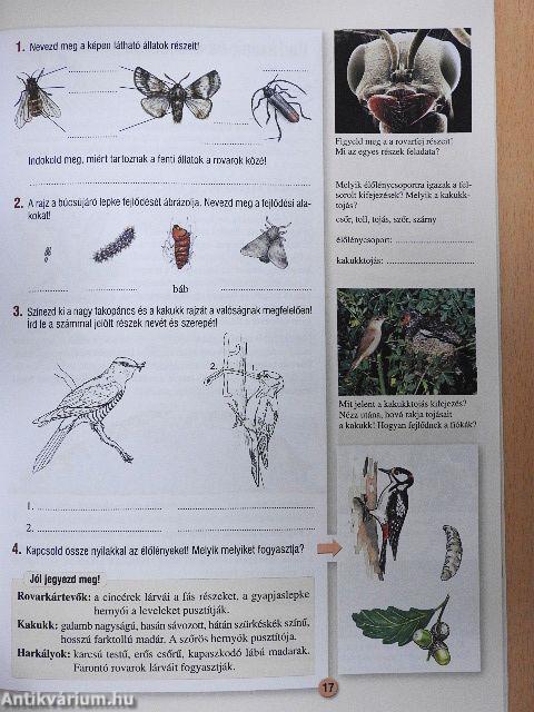 Környezetünk titkai 4/I.