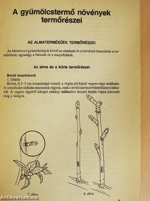 Gyümölcsfák alakító metszése