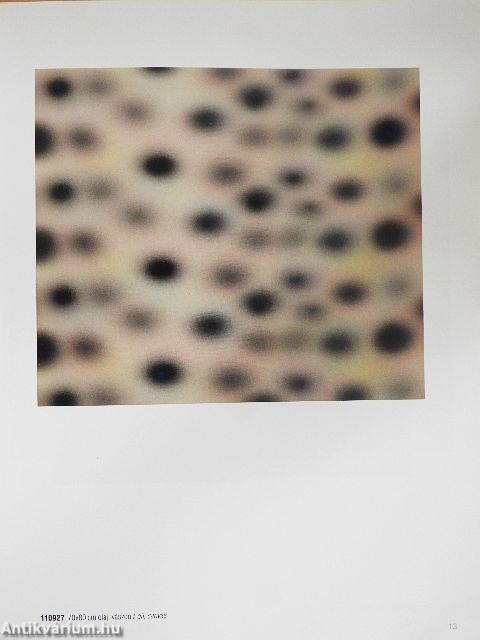 Munkák/Works 2010-2012