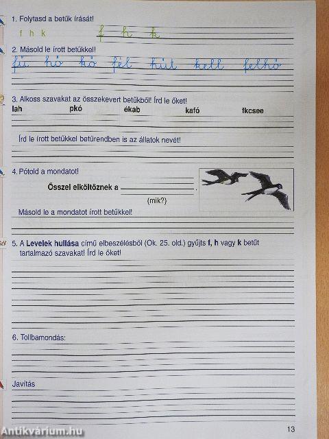 Írás munkafüzet 2.