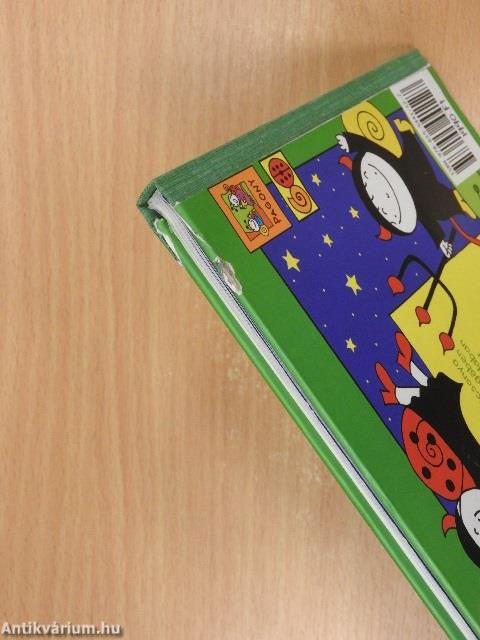Bogyó és Babóca a levegőben
