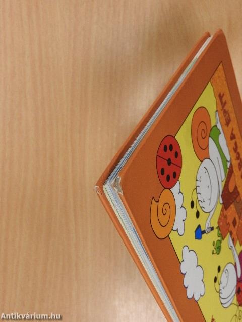 Bogyó és Babóca épít