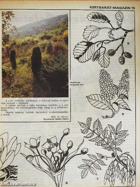 Kertbarát Magazin 1981. nyár