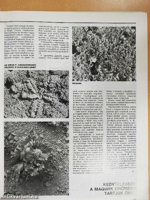 Kertbarát Magazin 1989. nyár
