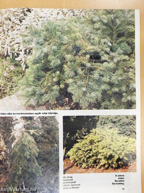 Kertbarát Magazin 1989. nyár