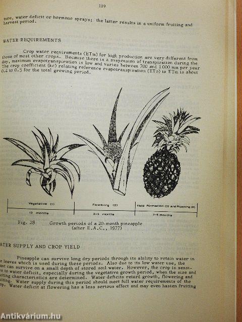 Yield response to water