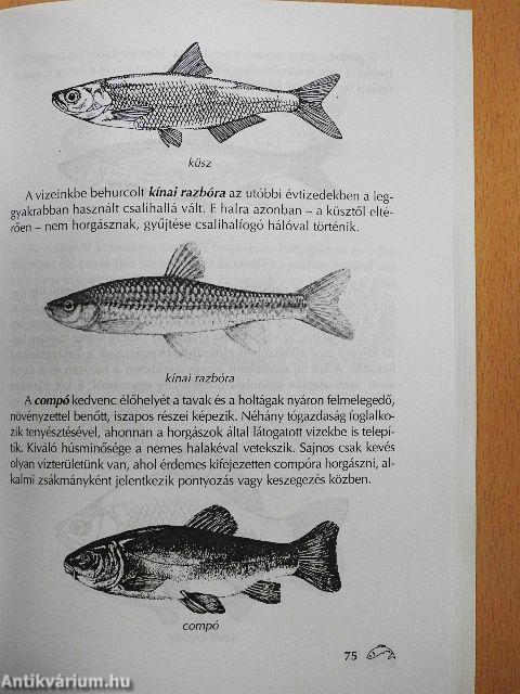 Horgászati alapismeretek