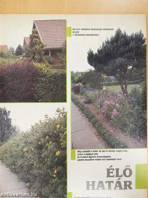 Kertbarát Magazin 1991/4.