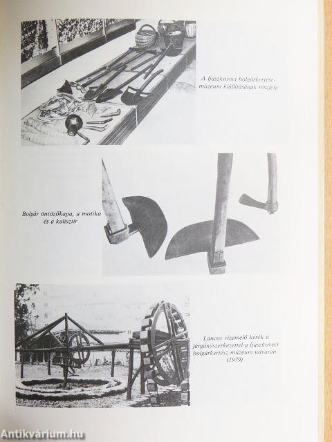 Bolgárkertészet magyar földön