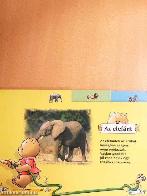 Vackor és barátai Afrikában