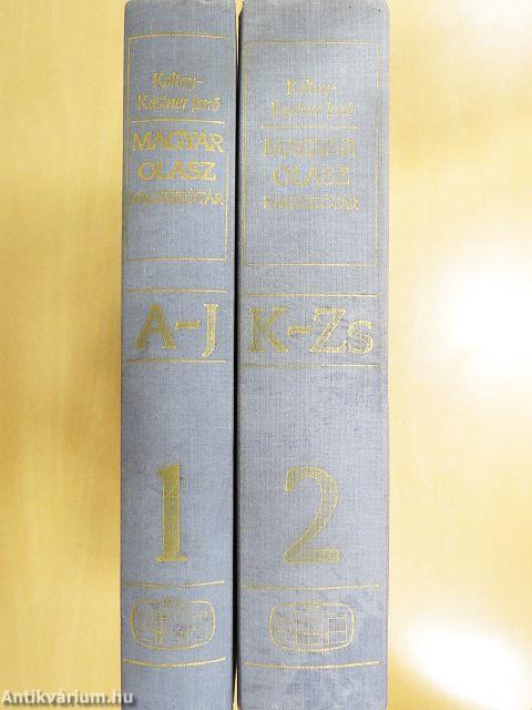 Magyar-olasz nagyszótár 1-2.