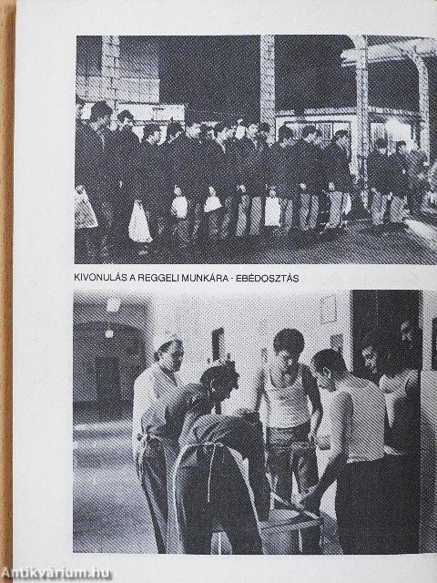 Márianosztrai panoptikum