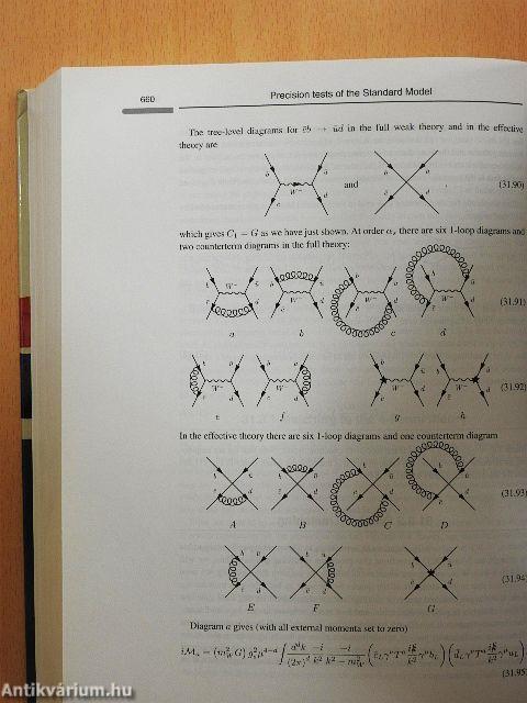 Quantum Field Theory and the Standard Model