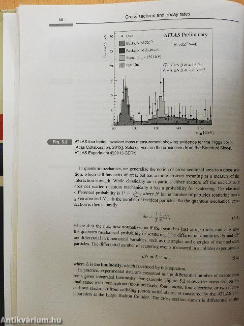 Quantum Field Theory and the Standard Model
