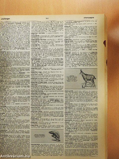 Random House Webster's Unabridged Dictionary