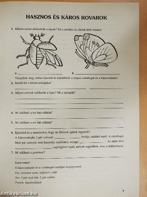 Környezetismeret 4. 