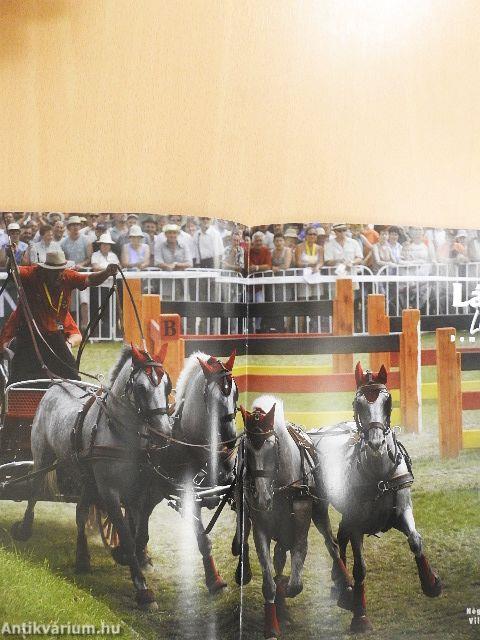 Lázár Lovaspark