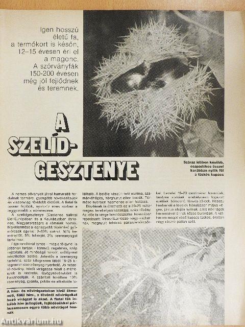 Kertbarát Magazin 1990/4.