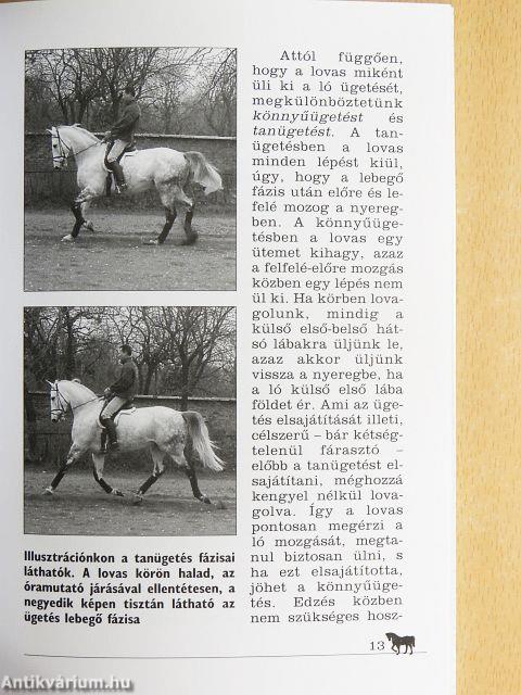 Dallos Gyula lovasiskolája