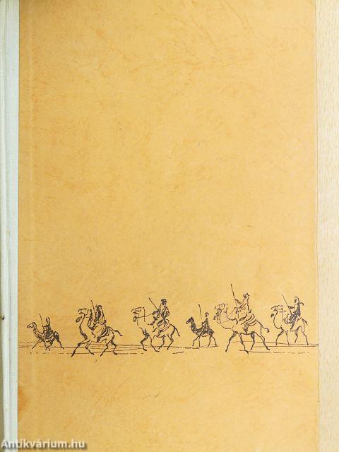 Sivatagon és vadonban