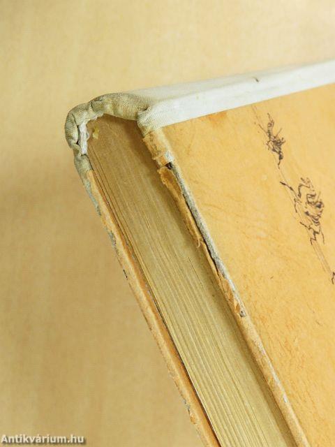 Sivatagon és vadonban