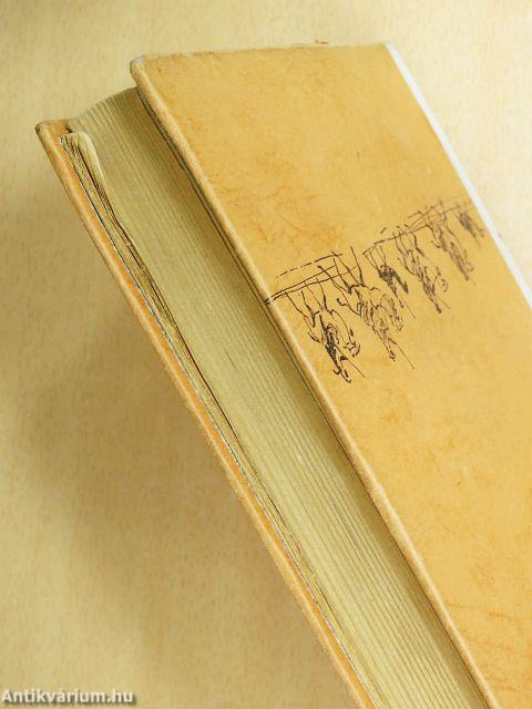 Sivatagon és vadonban