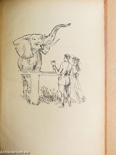 Sivatagon és vadonban