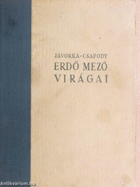 Erdő mező virágai