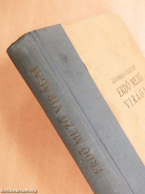 Erdő mező virágai