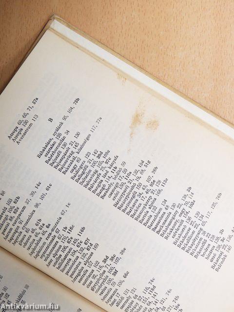 Erdő mező virágai