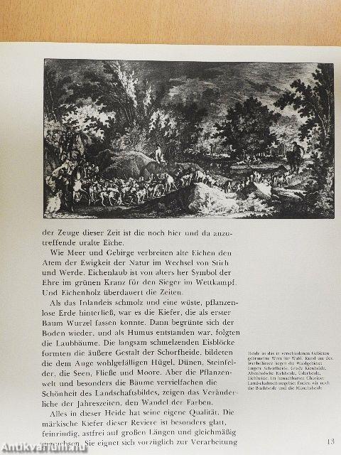 In der Schorfheide