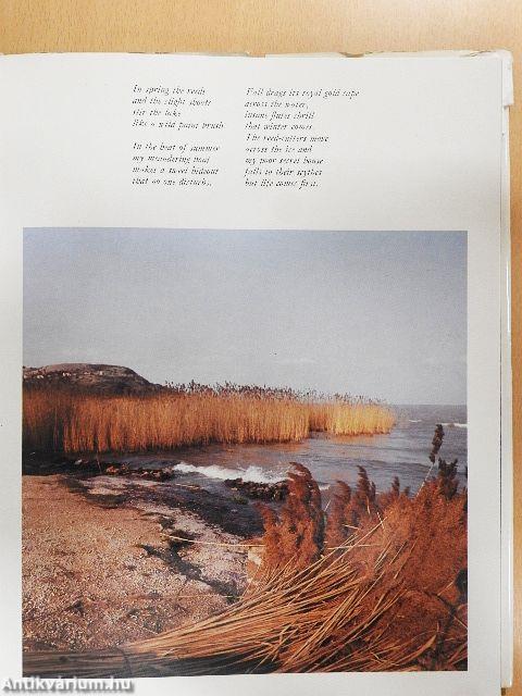 Balaton and its Environs