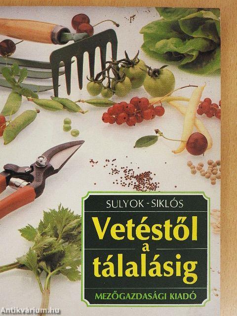 Vetéstől a tálalásig