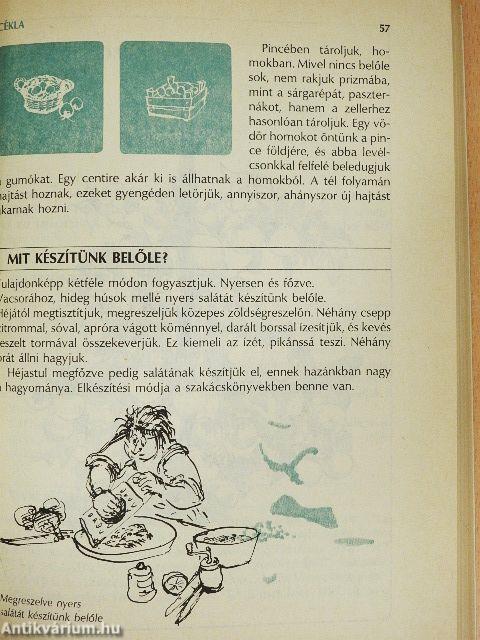 Vetéstől a tálalásig