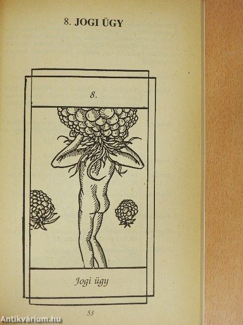 A jósnő vallomása