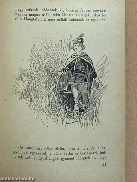 Rab ember fiai
